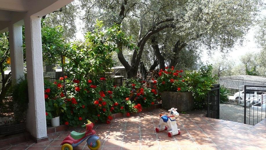 Guest House Zivkovic Sveti Stefan Luaran gambar